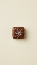 Salted Caramel Chocolate Square